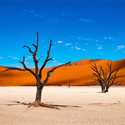Deadvlei, Namibia