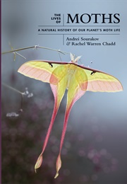 The Lives of Moths (Andrei Sourakov, Rachel Warren Chadd)