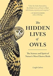 The Hidden Lives of Owls (Leigh Calvez)
