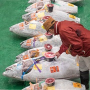 Toyosu Fish Market, Tokyo, Japan