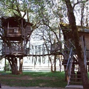 Out 'N' About Treehouse Treesort