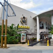 Bongo's Disney Springs