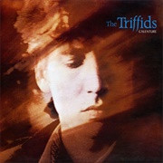 Kelly's Blues - The Triffids