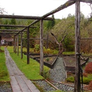 Cougar Annie's Garden