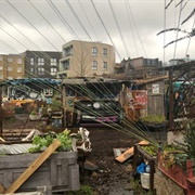 Nomadic Community Gardens (Permanently Closed)