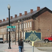 Site of the Cohoes Mastodon