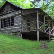 Mayna Treanor Avent Studio