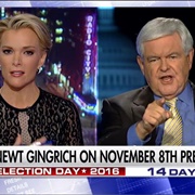Megyn Kelly's Interview With Newt Gingrich, Fox News