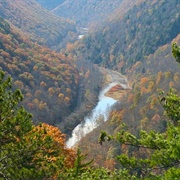 Pine Creek Gorge