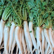Daikon