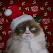 Grumpy Cat's Worst Christmas Ever