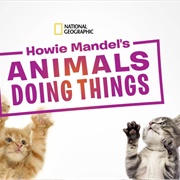 Howie Mandel's Animals Doing Things