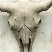 Monroe Street Bridge Bison Skulls
