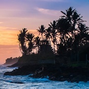 Tangalle (Sri Lanka)