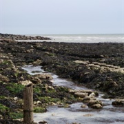 The Daddy Long Legs Seashore Railway