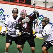 Attend Lacrosse Game