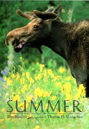 Summer (Ron Hirschi)