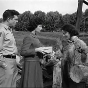 Ellie Saves a Female