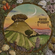 Dark Forest - Ridge & Furrow