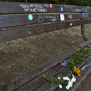 Kurt Cobain's Benches