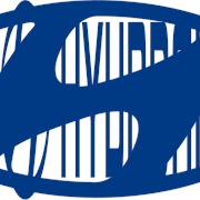 Hyundai (South Korean Company)