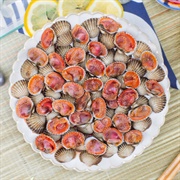 Blood Cockle (Tegillarca Granosa)