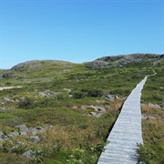 Walled Landscape of Grates Cove