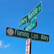Flaming Lips Alley