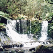 Mount Field National Park