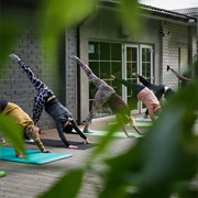 Attend a Free Yoga Class