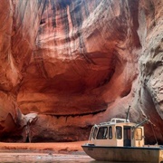 Cathedral in the Desert