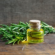 Rosemary Extract