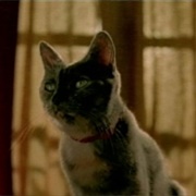 No Name (Amélie, 2001)