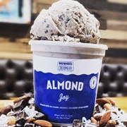 Browndog Creamery Almond Joy Non-Dairy Ice Cream