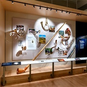 National Music Museum