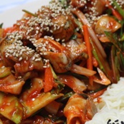Bladder Moon Snail (Neverita Didyma)