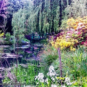 Monet Garden