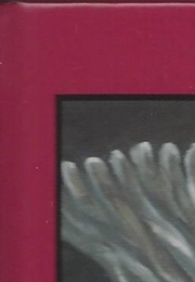 A Cat's Christmas Tale (Peter Arenstam)