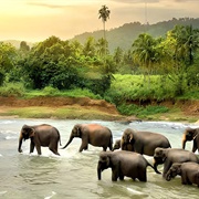Uda Wawale National Park, Sri Lanka