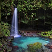 Emerald Pool, Dominica