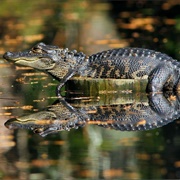 Woods Bay State Park