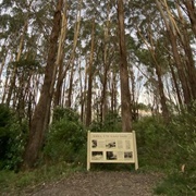 Kurana Aeroplane Crash Memorial