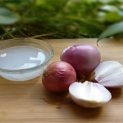 Onion Extract
