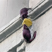 Two Mice Eating Cheese, England, UK