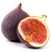 Wasp Meat (Fig)