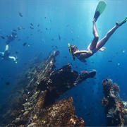 Snorkel a Shipwreck