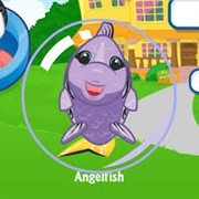 Angelfish