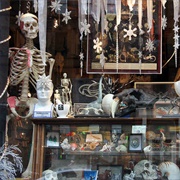 Maxilla & Mandible (Permanently Closed)