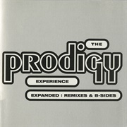 The Prodigy- Experience: Expanded