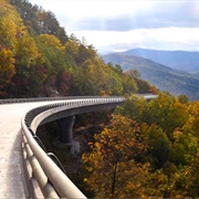 The Great Smoky Mountains' 'Missing Link'